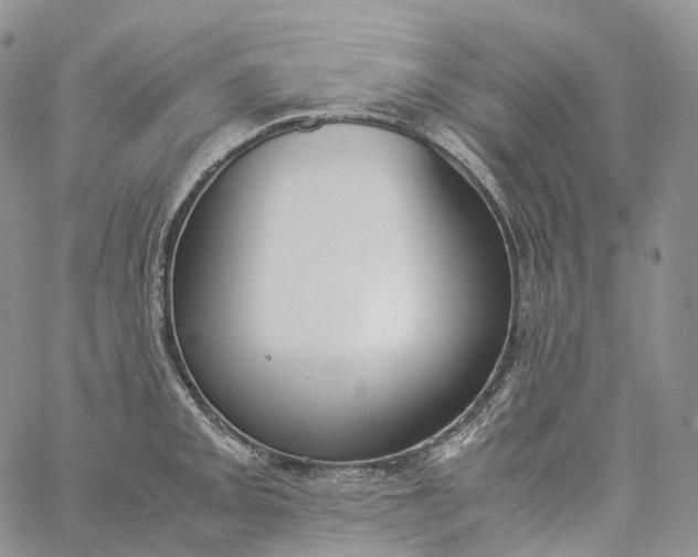 X0000060801093200511241904