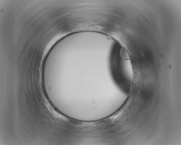 X0000060801094200511241904