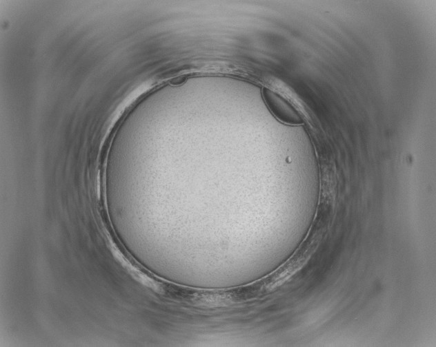 X0000060801095200511241904