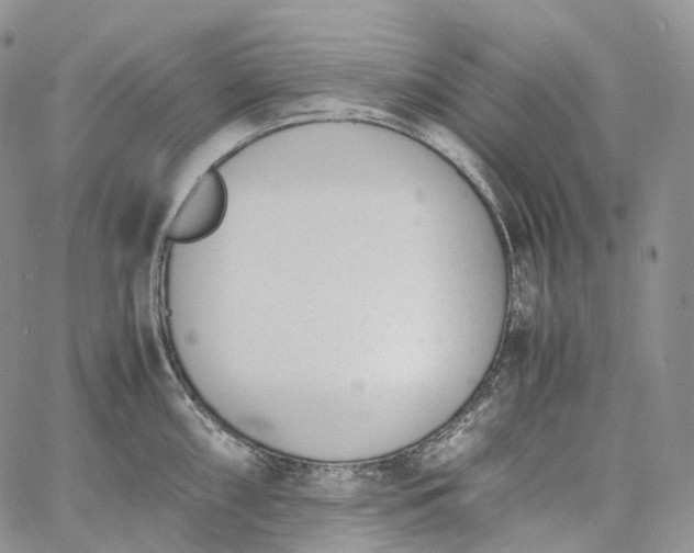 X0000060801098200511241904