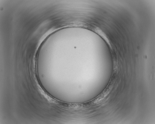 X0000060801099200511241904