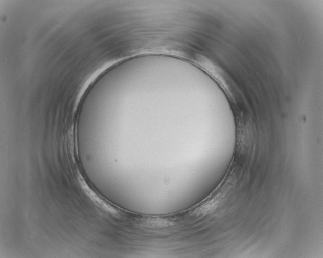 X0000060801100200511241904