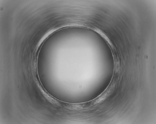 X0000060801101200511241904