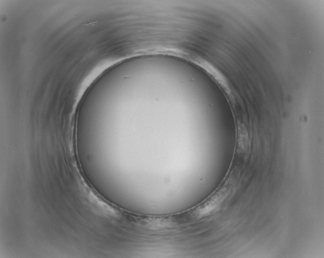 X0000060801102200511241904