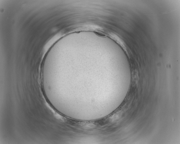 X0000060801103200511241904