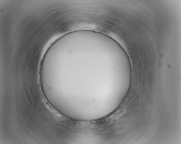 X0000060801104200511241904