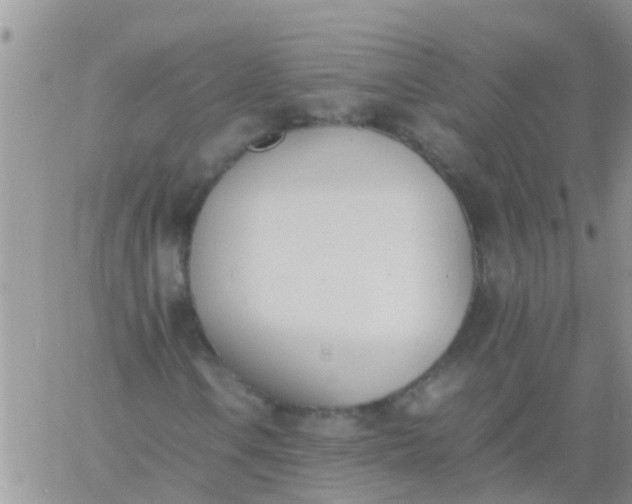 X0000060801106200511241903