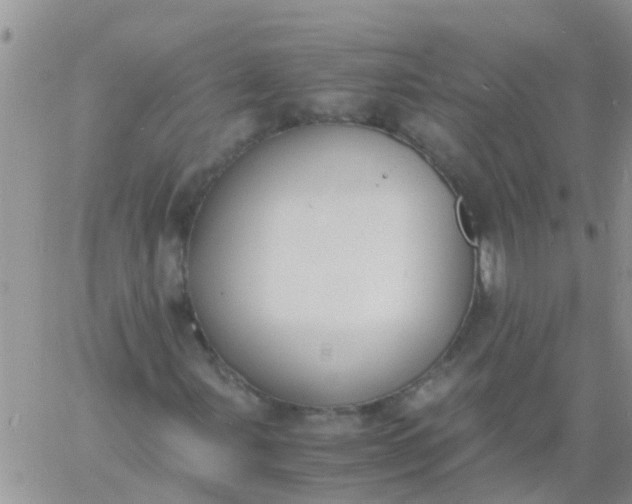 X0000060801107200511241903