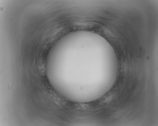 X0000060801109200511241903