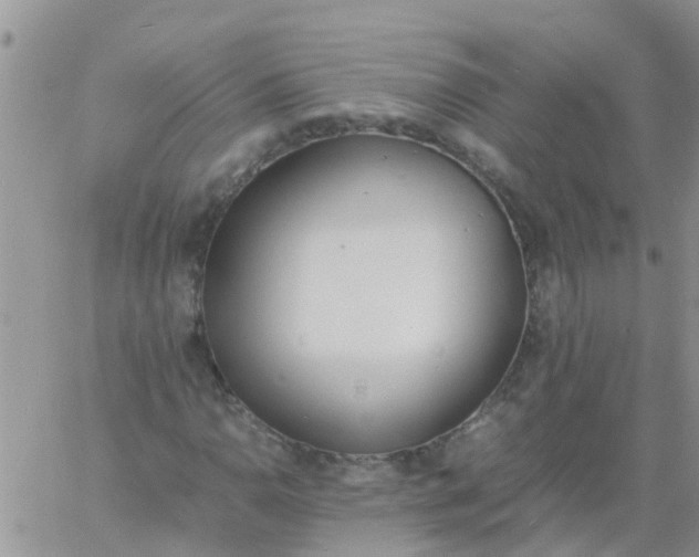 X0000060801110200511241903