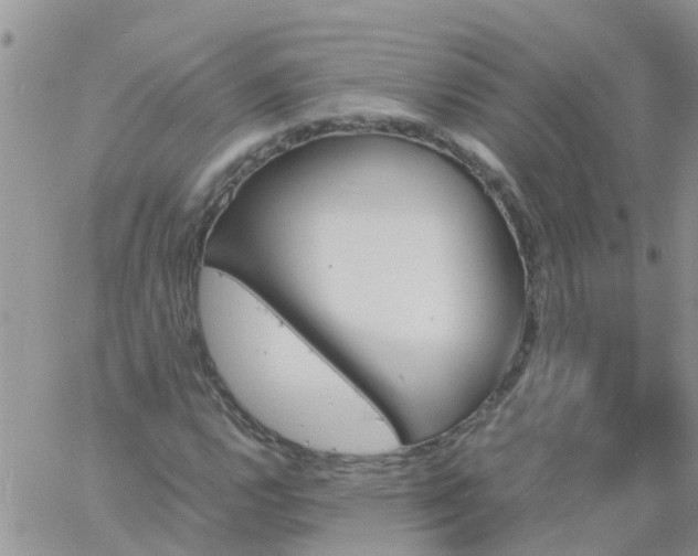 X0000060801112200511241903