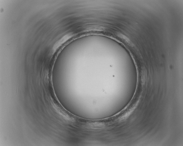 X0000060801113200511241903