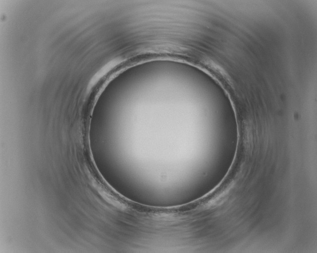 X0000060801114200511241903