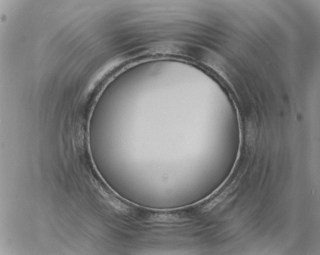 X0000060801115200511241903