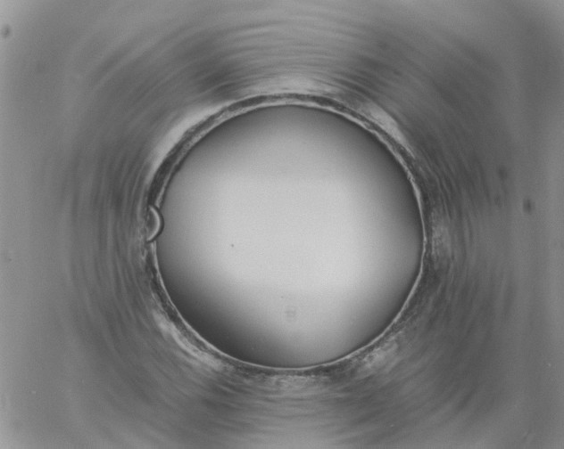 X0000060801116200511241903