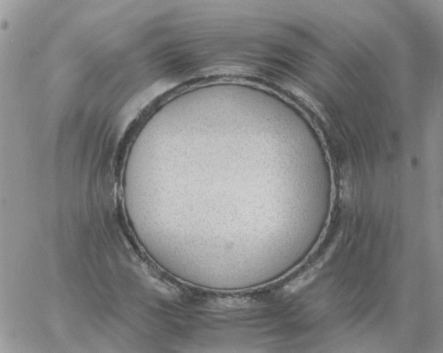 X0000060801117200511241903