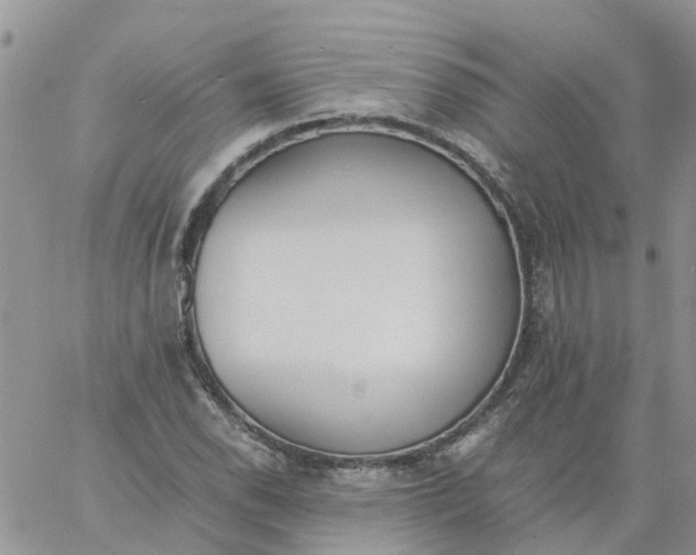 X0000060801118200511241903