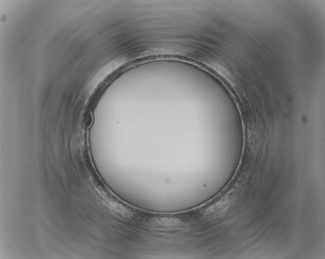 X0000060801119200511241903