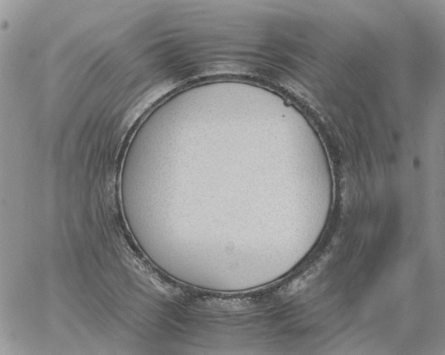 X0000060801121200511241903