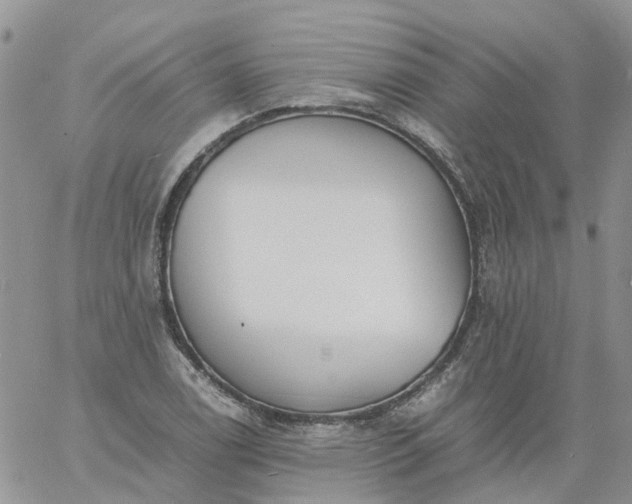 X0000060801122200511241903