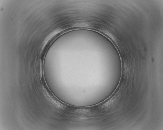 X0000060801123200511241903