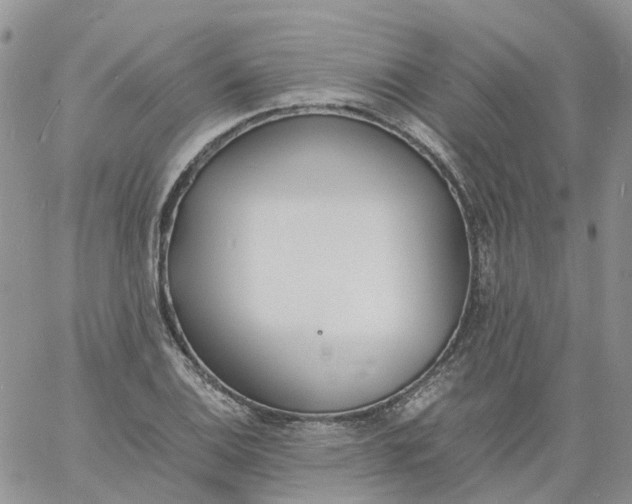 X0000060801124200511241903