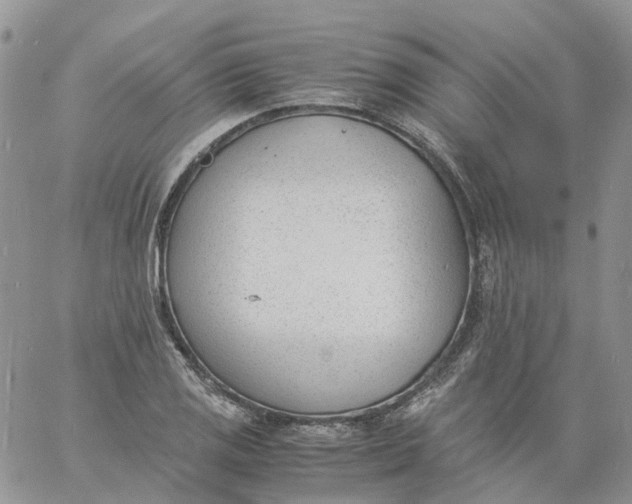 X0000060801125200511241903