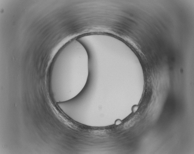 X0000060801126200511241903