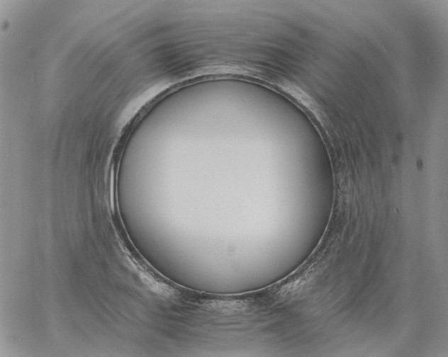 X0000060801127200511241903