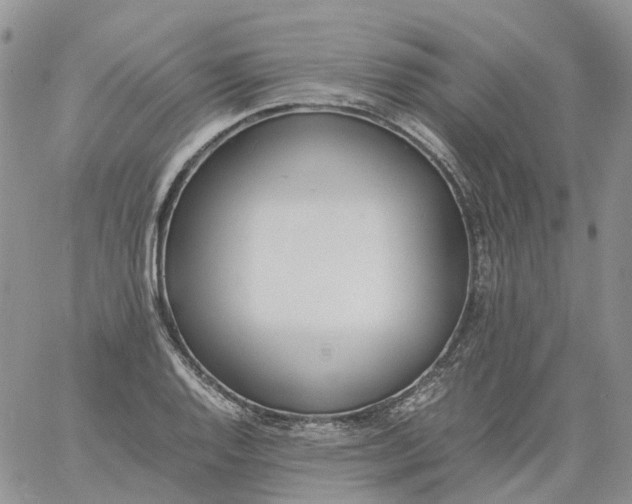 X0000060801128200511241903