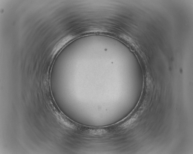 X0000060801129200511241903