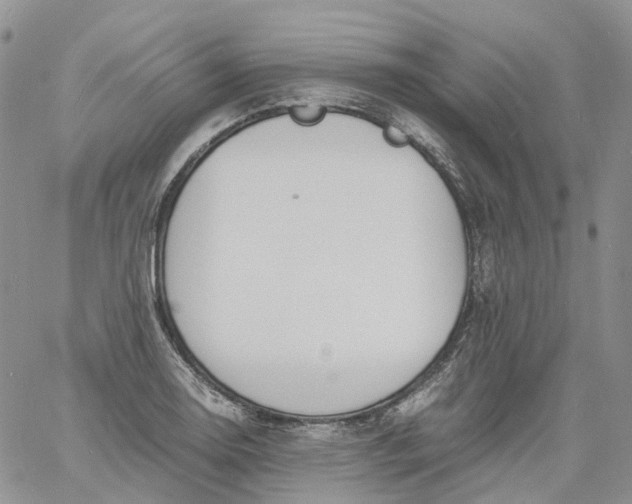 X0000060801130200511241903