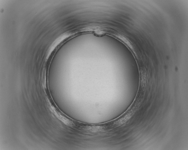 X0000060801131200511241903