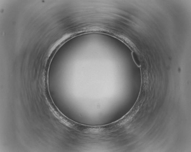 X0000060801134200511241903