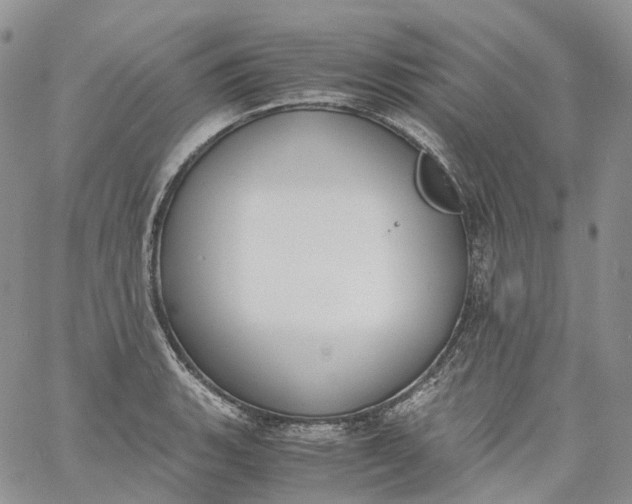 X0000060801135200511241903