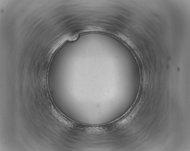 X0000060801137200511241904