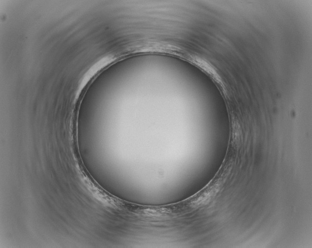 X0000060801138200511241904