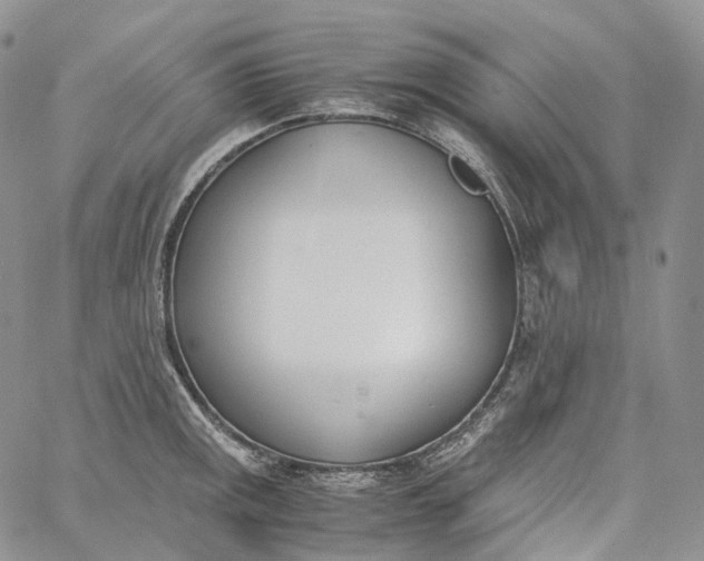 X0000060801141200511241904