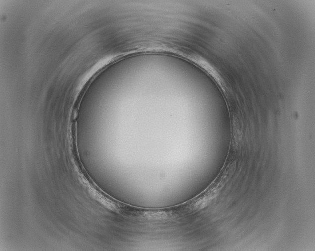 X0000060801142200511241904