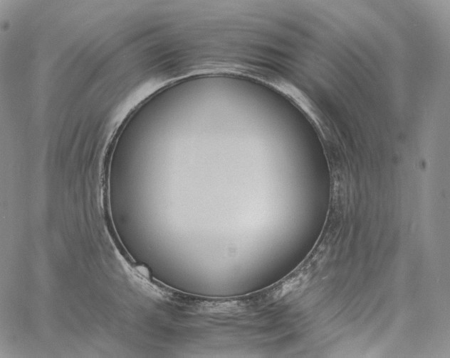 X0000060801143200511241904