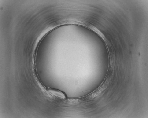 X0000060801144200511241904