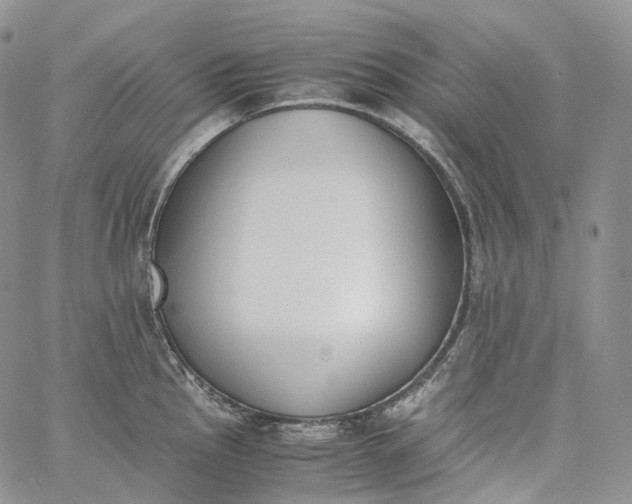 X0000060801145200511241904