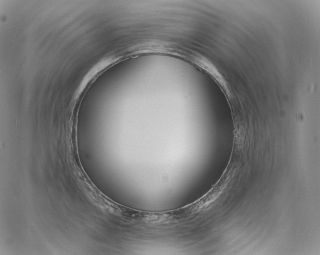 X0000060801146200511241904