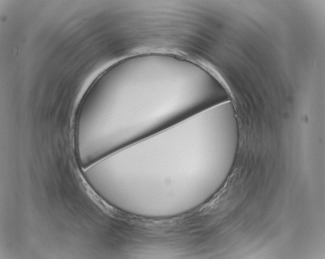 X0000060801148200511241904