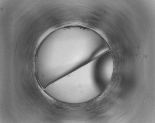 X0000060801151200511241904