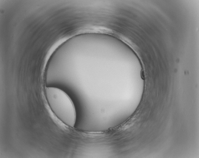 X0000060801152200511241904