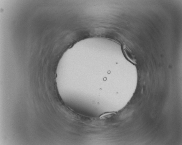 X0000060801153200511241903