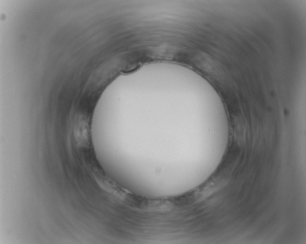 X0000060801154200511241903