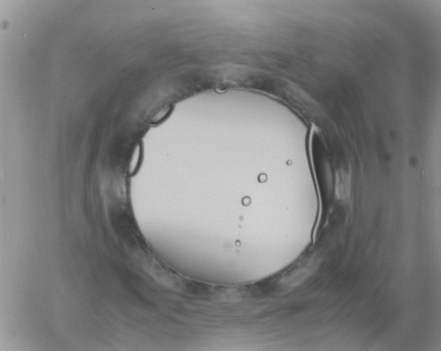 X0000060801155200511241903