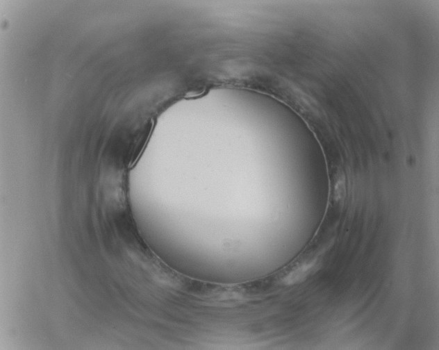 X0000060801156200511241903